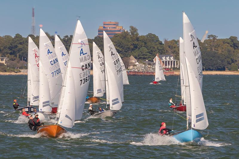 2025 Albacore Internationals at Hampton Yacht Club - photo © Dave Stalfort