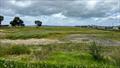 Wynyard Point looking north to the proposed race area - November 2023 © Richard Gladwell / Sail-World.com/nz