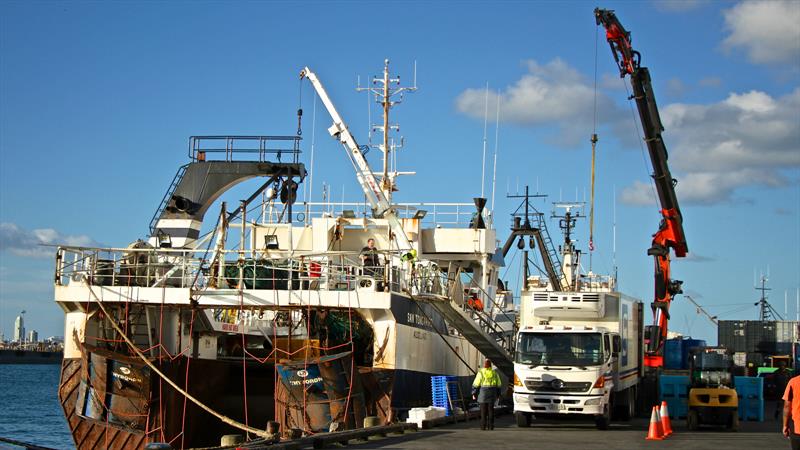 Rusty fishing boats being unloaded by crane are supposed to provide some ambience to the raea - photo © Richard Gladwell
