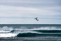 Home of Armstrong Tour III - Deep South - New Zealand - March-April 2026