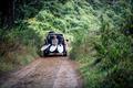 Home of Armstrong Tour III - Deep South - New Zealand - March-April 2026