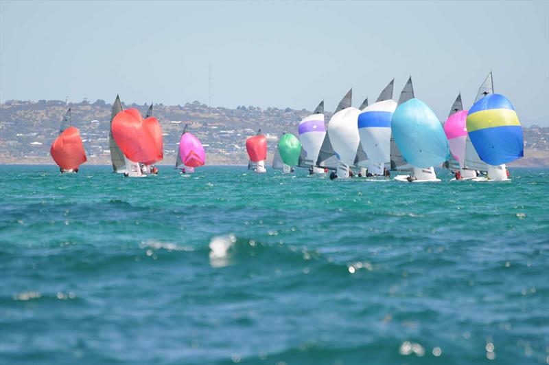 The recent Australian Sharpie Nationals saw a fleet of 72 boats at the Adelaide Sailing Club photo copyright Lou Hollis taken at  and featuring the Australian Sharpie class
