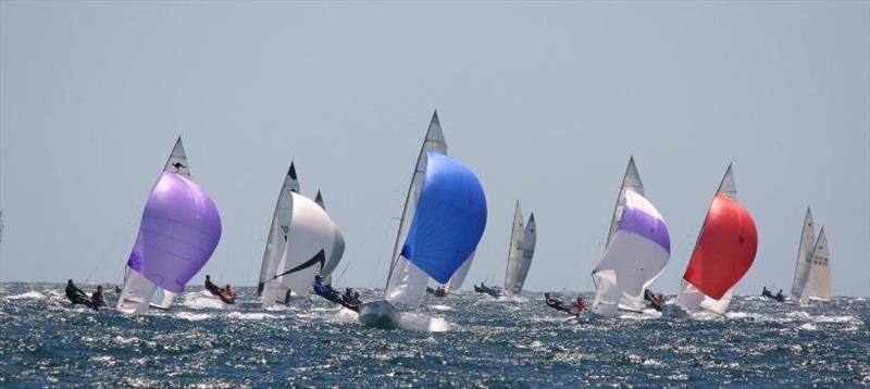 Australian Sharpies flying downwind photo copyright Greg Pratt taken at Bellerive Yacht Club and featuring the Australian Sharpie class