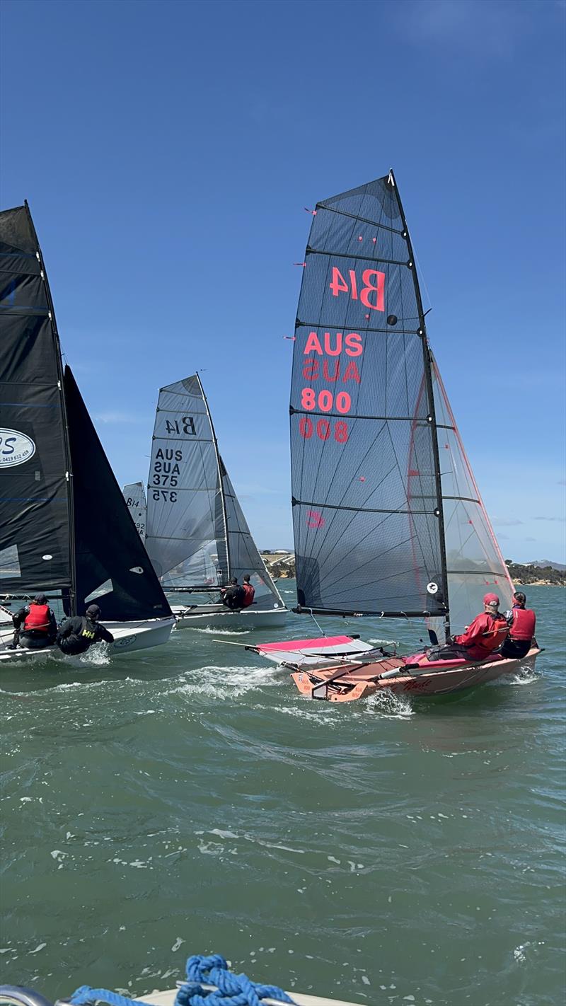 2025/26 B14 Australian National Titles at Midway Point Yacht Club photo copyright MPYC / B14 Class Association taken at Midway Point Yacht Club and featuring the B14 class