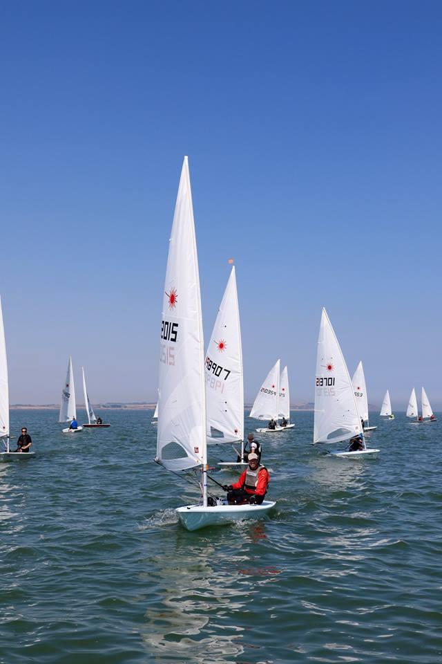 Laserfest at Whitstable photo copyright Nicky Whatley taken at Whitstable Yacht Club and featuring the  class