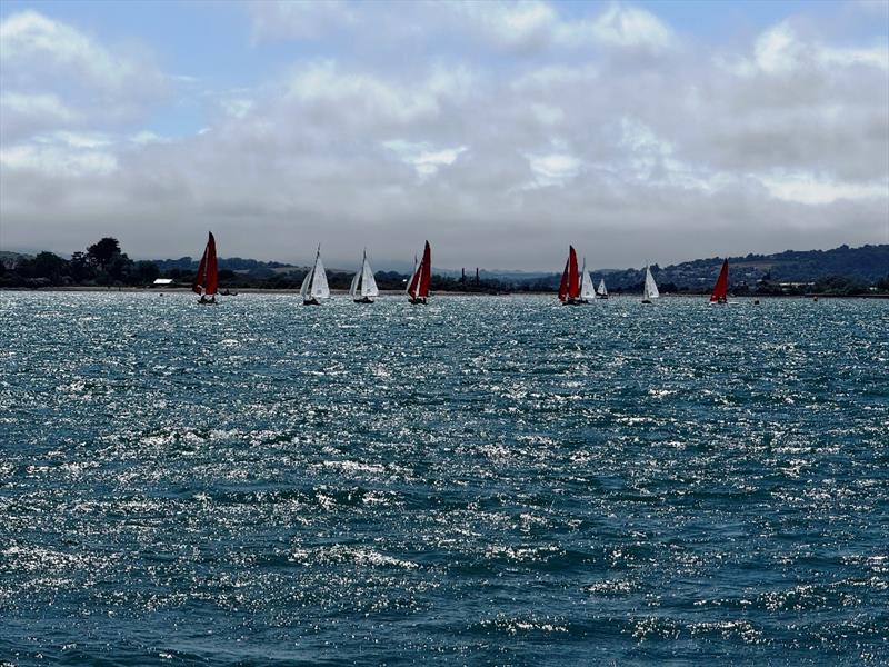 Bembridge Sailing Club Late June Keelboat Racing photo copyright Robin Joy taken at Bembridge Sailing Club and featuring the Bembridge Redwing class