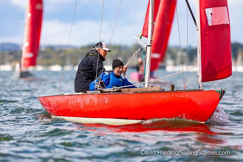 Poole Week 2025 Day 6 photo copyright David Harding / www.sailingscenes.com taken at Parkstone Yacht Club and featuring the Bembridge Redwing class
