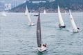 Beneteau Cup - Hong Kong 2023 © Panda Man / Takumi Images