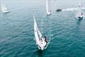 Beneteau Cup - Hong Kong 2023 © Panda Man / Takumi Images