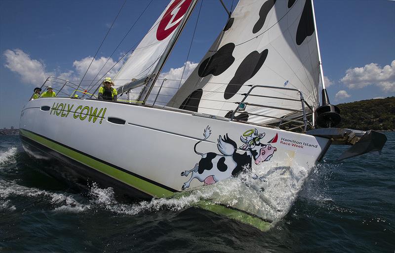 Always recognisable and wonderful band ambassadors – Holy Cow – indeed! photo copyright John Curnow taken at Cruising Yacht Club of Australia and featuring the Beneteau class