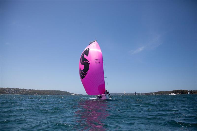 Pretty in Pink – The First 27, Blizzard - 2025 Beneteau Cup photo copyright John Curnow taken at Cruising Yacht Club of Australia and featuring the Beneteau class