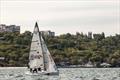 Platu25 club series racing at Odessa, Ukraine © Odessa Racing Yacht Club