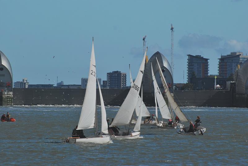 Bosun dinghies compete against a backdrop of the raised Thames Barrier photo copyright Clive Reffell taken at Greenwich Yacht Club and featuring the Bosun class