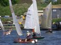 Glorious sunshine and a gusty breeze for the British Moths at Evesham © Karen Collyer