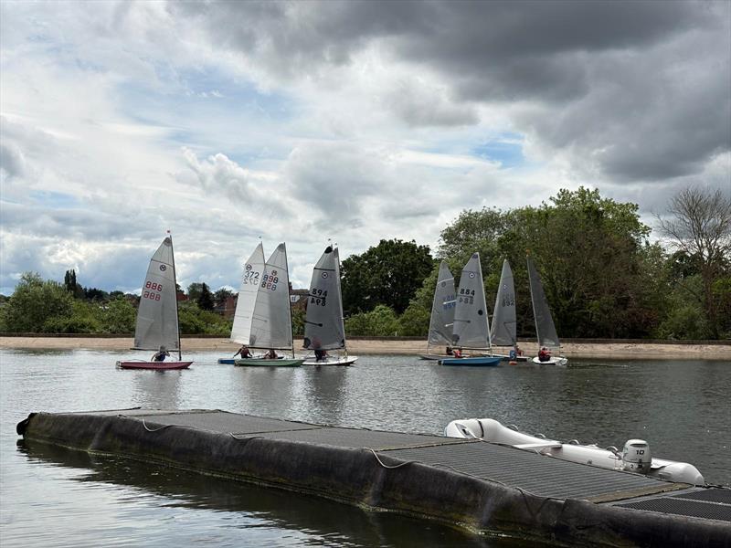 British Moths at Leamington Spa - photo © Phil Muddeman & Jayne Whigham