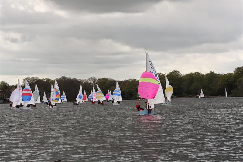 Frensham Cadet open - photo © Neil Hardie