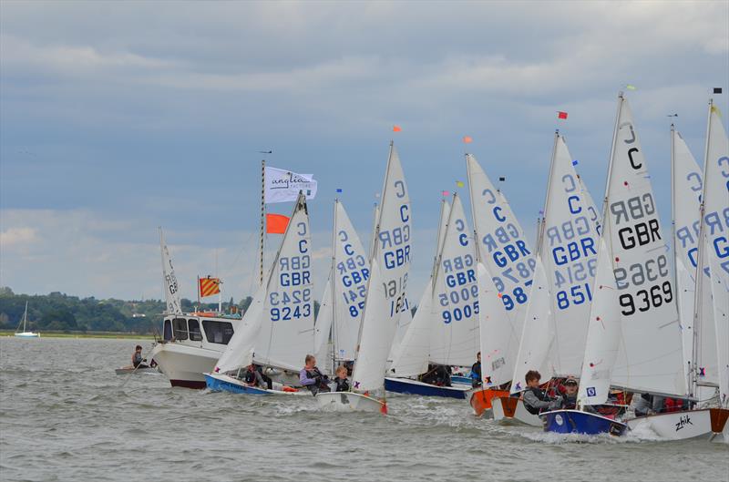 Anglia Factors Cadet Open Meeting at Waldringfield 2015 photo copyright Juliet Dearlove & Alexis Smith taken at Waldringfield Sailing Club and featuring the Cadet class