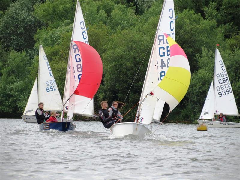 Cadet Open Meeting at Fishers Green 2016 photo copyright Roberto Mancini taken at Fishers Green Sailing Club and featuring the Cadet class