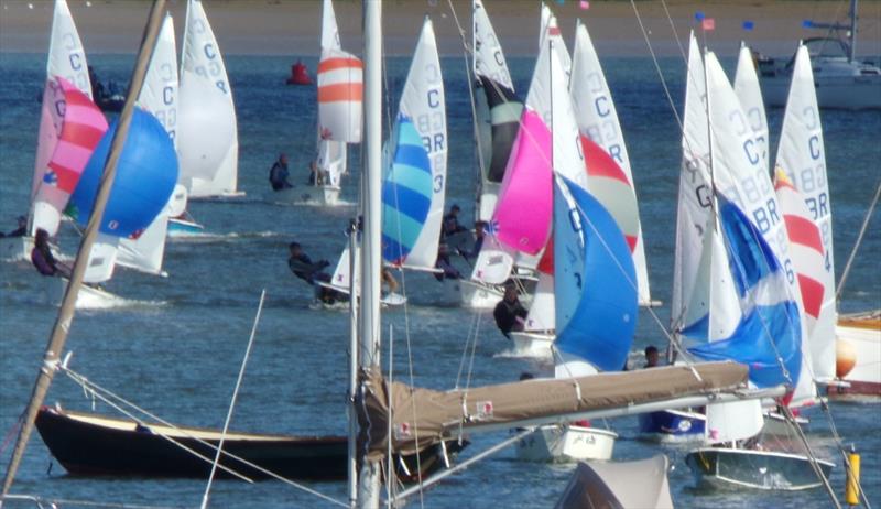 GILL / Harken / Seamark Nunn Waldringfield Cadet Week photo copyright Andrew Nunn taken at Waldringfield Sailing Club and featuring the Cadet class