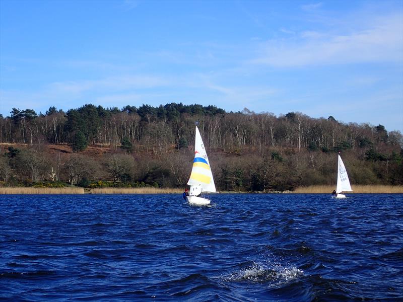 Megan Fergusson and Tom Stratton-Brown winning race 4 and the Frensham Cadet Open photo copyright Steph Videlo taken at Frensham Pond Sailing Club and featuring the Cadet class