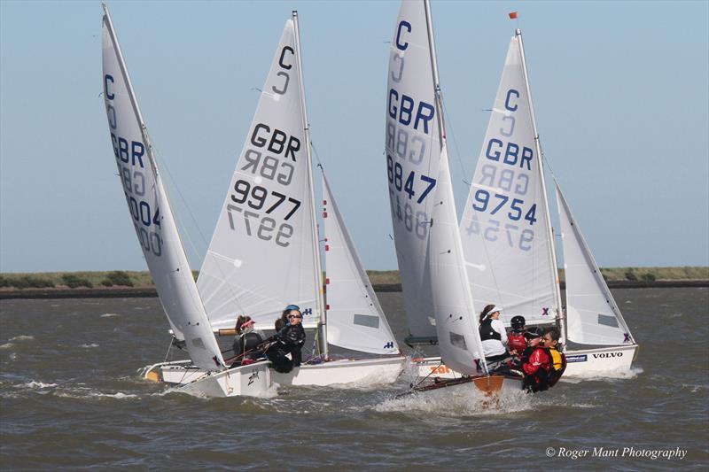 2017 Neilson GBR Cadet World Team Selector in Burnham photo copyright Roger Mant Photography taken at Royal Corinthian Yacht Club, Burnham and featuring the Cadet class