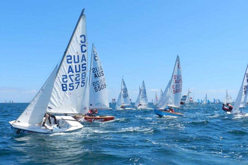 2018 Sail Sandy Regatta photo copyright Chris Furey taken at Sandringham Yacht Club and featuring the Cadet class