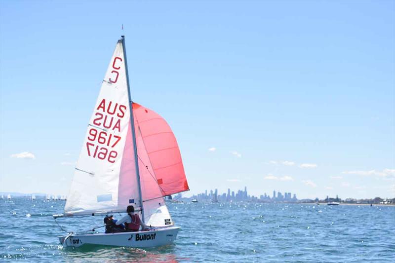 2018 Sail Sandy Regatta photo copyright Harry Fisher taken at Sandringham Yacht Club and featuring the Cadet class