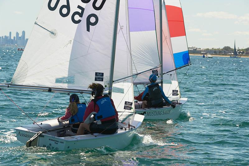 Cadets at Sail Sandy Regatta photo copyright Nicholas Duell taken at Sandringham Yacht Club and featuring the Cadet class