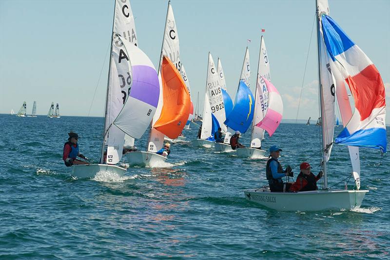 Cadets at Sail Sandy Regatta photo copyright Nicholas Duell taken at Sandringham Yacht Club and featuring the Cadet class