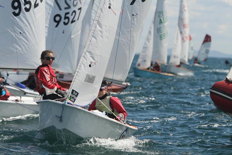 Cadets at Sail Sandy Regatta - photo © Nicholas Duell