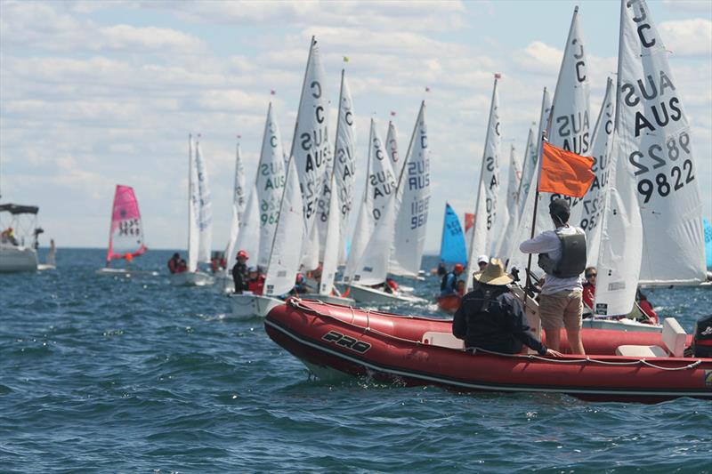 Cadets at Sail Sandy Regatta photo copyright Nicholas Duell taken at Sandringham Yacht Club and featuring the Cadet class