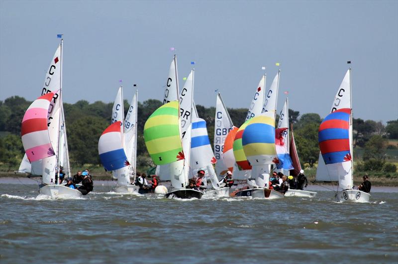 Waldringfield Cadet Week 2021 photo copyright Lorna Nee taken at Waldringfield Sailing Club and featuring the Cadet class