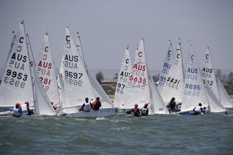 Cadets racing at the 2016-17 Nationals in Adelaide photo copyright Dave Birss taken at Royal Yacht Club of Victoria and featuring the Cadet class