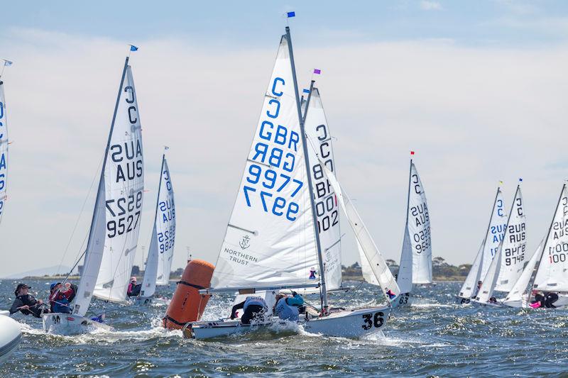 British Cadet Team at the Cadet Australian Nationals in Melbourne photo copyright Corinne Whitehouse taken at Royal Yacht Club of Victoria and featuring the Cadet class