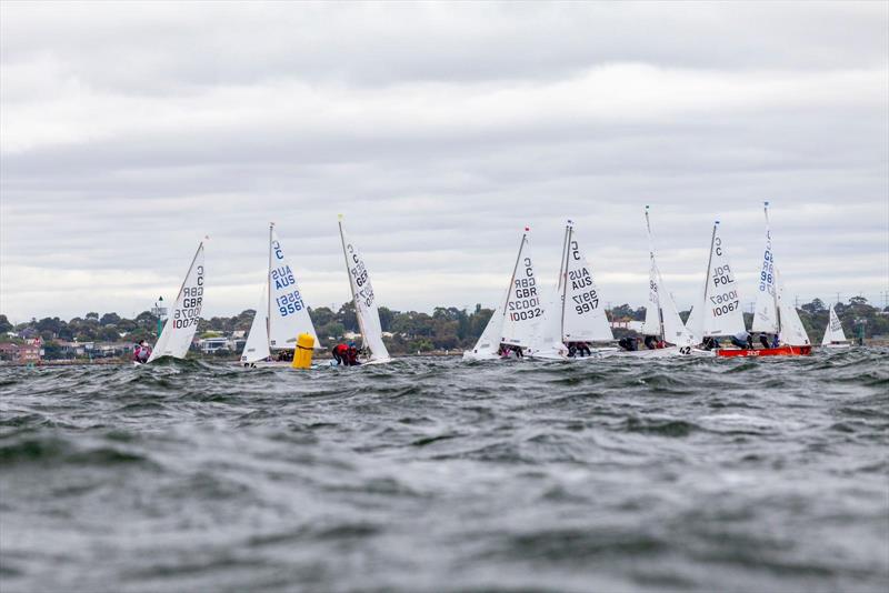 Cadet Worlds in Melbourne Day 4 photo copyright FSR Industries - Media House taken at Royal Yacht Club of Victoria and featuring the Cadet class