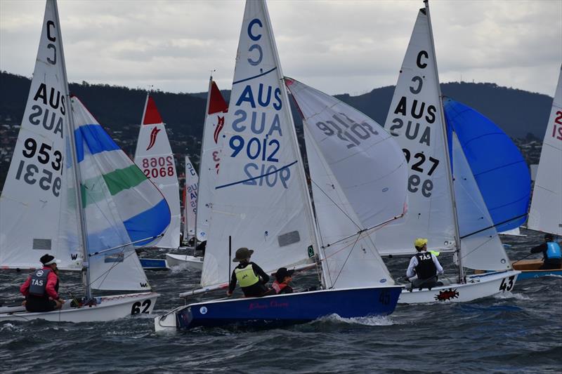 The Off the Beach classes were busy on the River Derwent - 2023 Banjos Shoreline Crown Series Regatta day 2 photo copyright Jane Austin taken at Bellerive Yacht Club and featuring the Cadet class