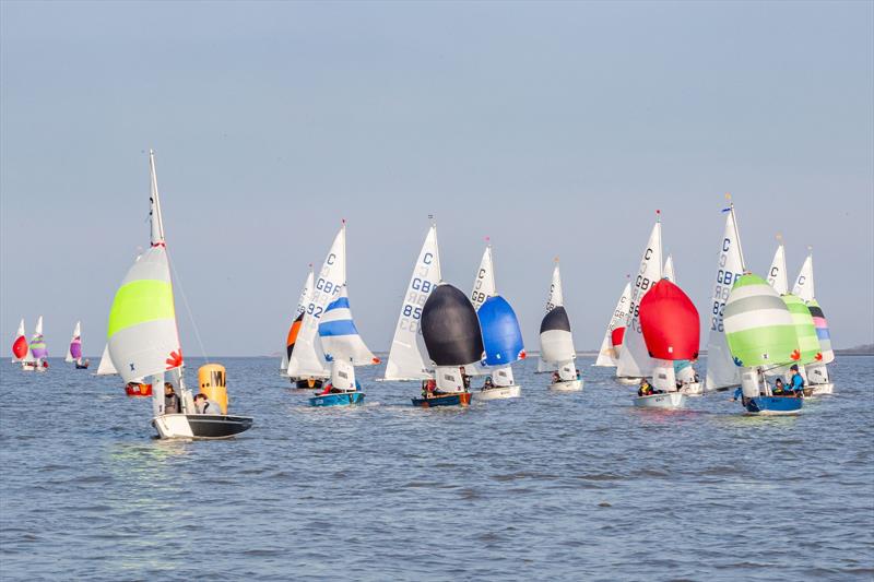 Cadet class Peter Scott trophy at Burnham photo copyright Tim Hampton / Phil Vellacott taken at Royal Corinthian Yacht Club, Burnham and featuring the Cadet class