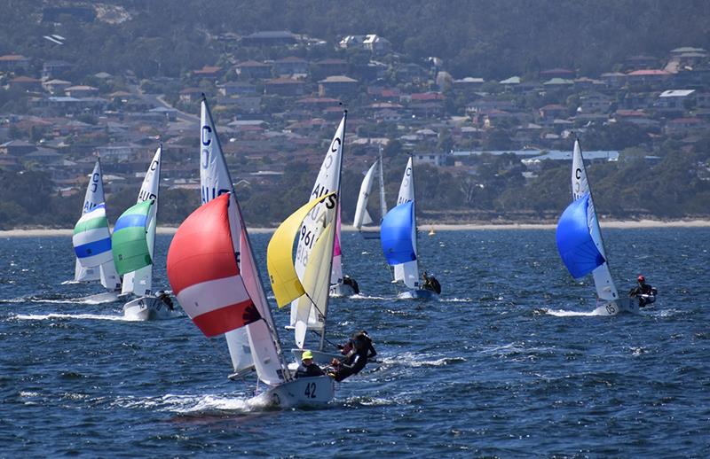 The International Cadet fleet in the Banjo's Shoreline Crown Series Bellerive Regatta photo copyright Jane Austin taken at Bellerive Yacht Club and featuring the Cadet class