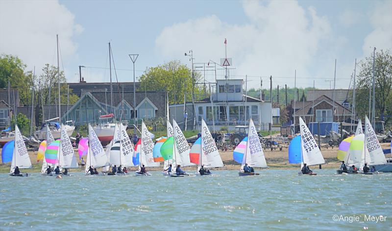 Cadet class Peter Scott Trophy at Stone - photo © Angie Meyer