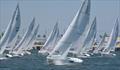 © Volker Correll The Cal20s race at the 2023 Championships © Volker Correll