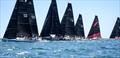 Cape 31 Tip of Africa Trophy