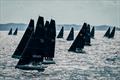 &copy; Sailing Energy / Cape 31 Class Association
