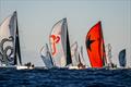 Eker Süzme and Black Star downwind on day 4 of the Cape 31 Gold Cup in Saint-Tropez &copy; Sailing Energy