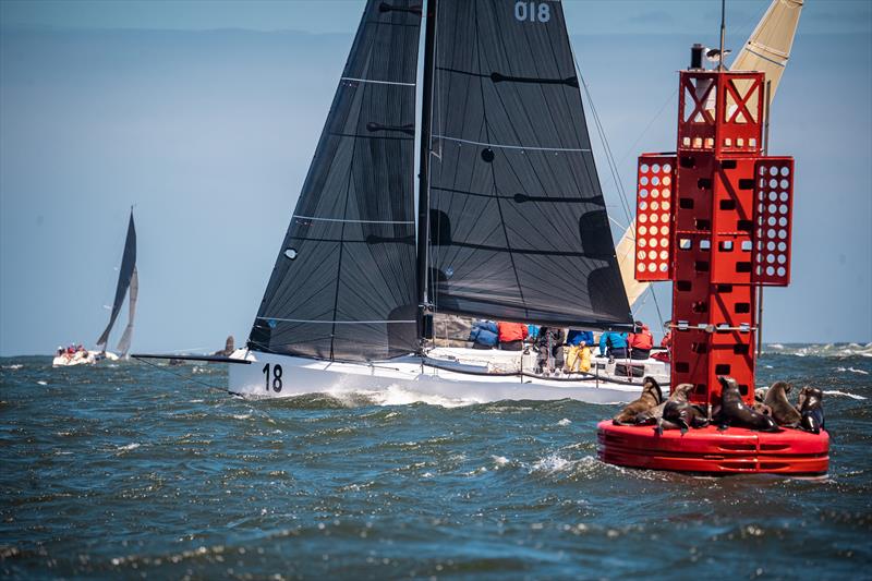 2023 Mykonos Offshore Regatta photo copyright Royal Cape Yacht Club taken at Royal Cape Yacht Club and featuring the Cape 31 class