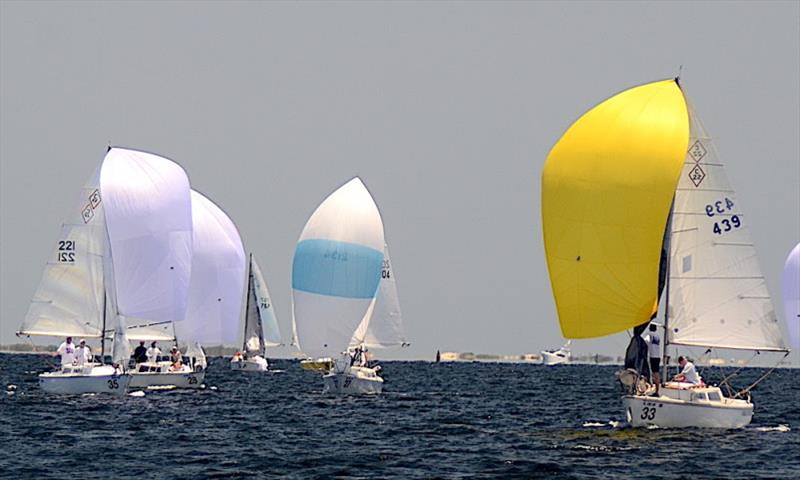 Justin Chambers 'Buc-ee' (sail #221, bow 35) with his crew Doug Thome and Winn took the spinnaker series at the 2021 Catalina 22 National Championship and 50th Anniversary of the class with a 1-1-2 score. - photo © Talbot Wilson