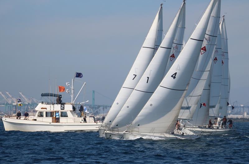 Port of Los Angeles Harbor Cup day 2 photo copyright Bronny Daniels / Joysailing taken at Los Angeles Yacht Club and featuring the Catalina 37 class