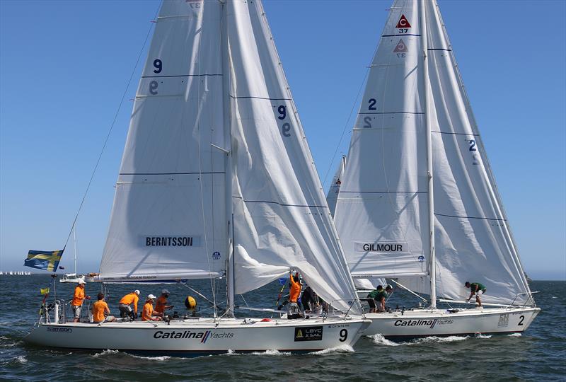 Final Day, 2018 Congressional Cup, Long Beach, April 22, 2018 photo copyright Bronny Daniels taken at Long Beach Yacht Club and featuring the Catalina 37 class