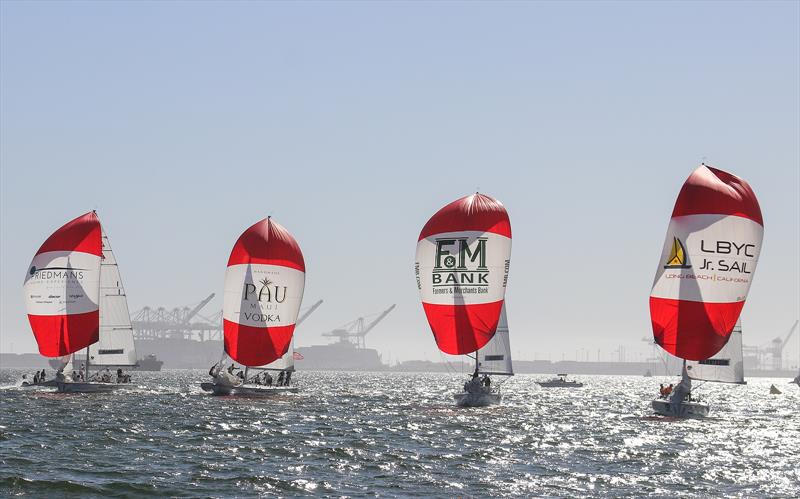 Final Day, 2018 Congressional Cup, Long Beach, April 21, 2018 photo copyright Bronny Daniels taken at Long Beach Yacht Club and featuring the Catalina 37 class