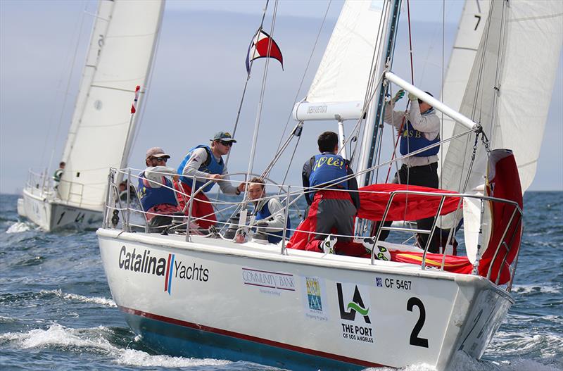 2019 Port of Los Angeles Harbor Cup regatta - Day 3 photo copyright Bronny Daniels / JoySailing taken at Los Angeles Yacht Club and featuring the Catalina 37 class