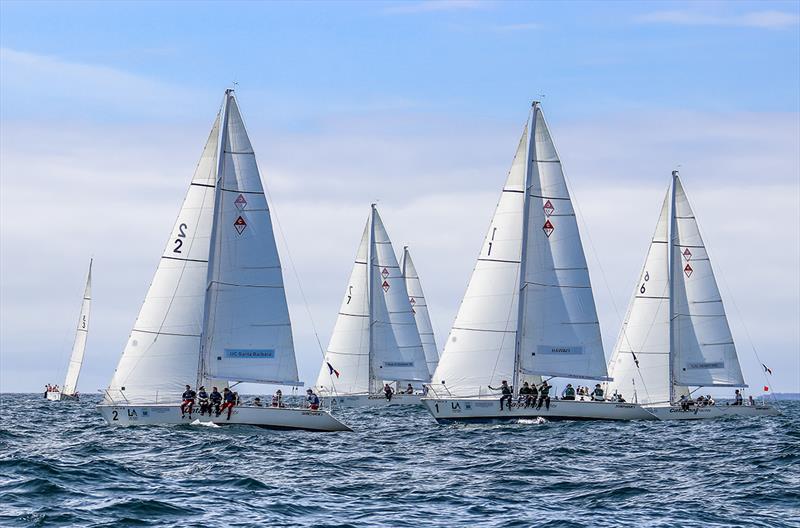 2019 Port of Los Angeles Harbor Cup regatta - Day 3 photo copyright Bronny Daniels / JoySailing taken at Los Angeles Yacht Club and featuring the Catalina 37 class